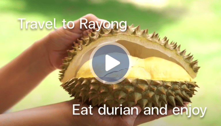 Travel to Rayong Eat durian and enjoy